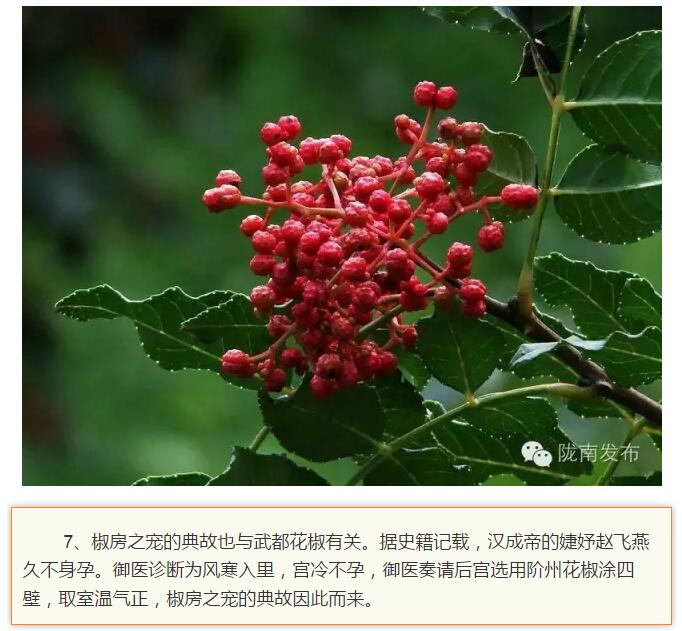 蘭渝鐵路最早由孫中山先生提出？在隴南，你不知道的事兒還有……