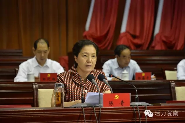 隴南市紀(jì)念建黨95周年暨表彰大會隆重召開