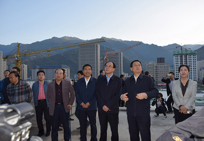 全國(guó)、省市政協(xié)委員體驗(yàn)蘭渝鐵路、視察階州廣場(chǎng)