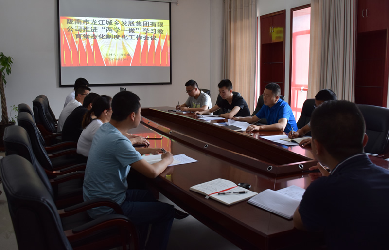 市龍江城鄉(xiāng)發(fā)展集團(tuán)公司召開推進(jìn)“兩學(xué)一做”學(xué)習(xí)教育常態(tài)化制度化暨黨風(fēng)廉政建設(shè)工作會(huì)議
