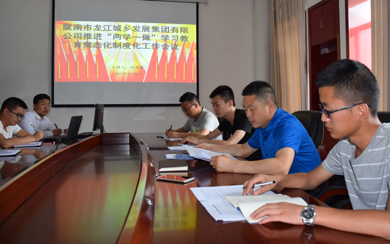 市龍江城鄉(xiāng)發(fā)展集團(tuán)公司召開推進(jìn)“兩學(xué)一做”學(xué)習(xí)教育常態(tài)化制度化暨黨風(fēng)廉政建設(shè)工作會(huì)議