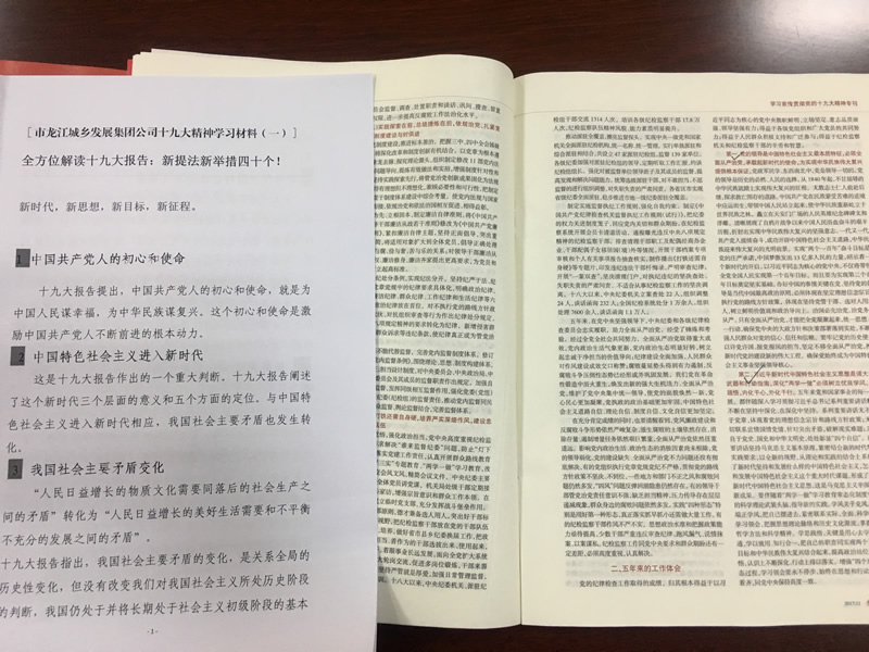 市龍江城鄉(xiāng)發(fā)展集團(tuán)公司召開黨的十九大精神第二次學(xué)習(xí)會議