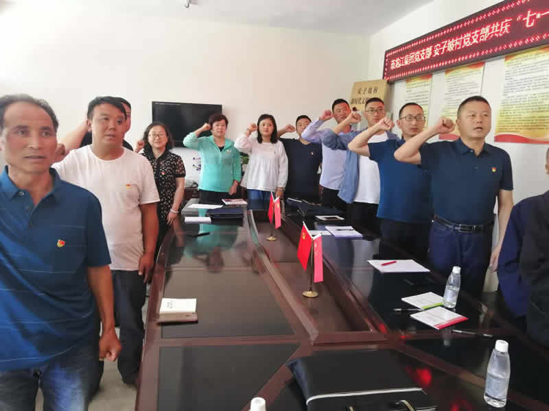 “感黨恩、憶黨史”，--市龍江城鄉(xiāng)發(fā)展集團公司開展慶祝建黨99周年主題黨日活動