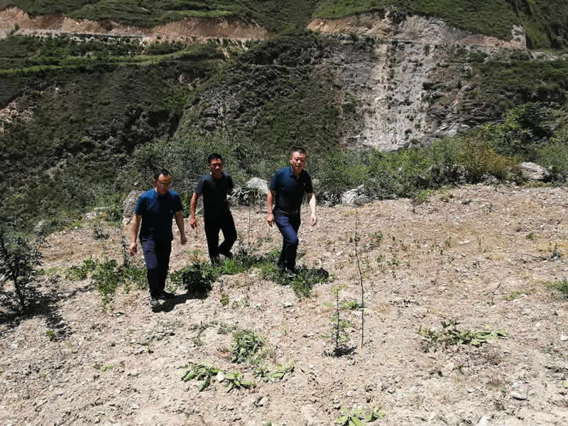 “感黨恩、憶黨史”，--市龍江城鄉(xiāng)發(fā)展集團公司開展慶祝建黨99周年主題黨日活動